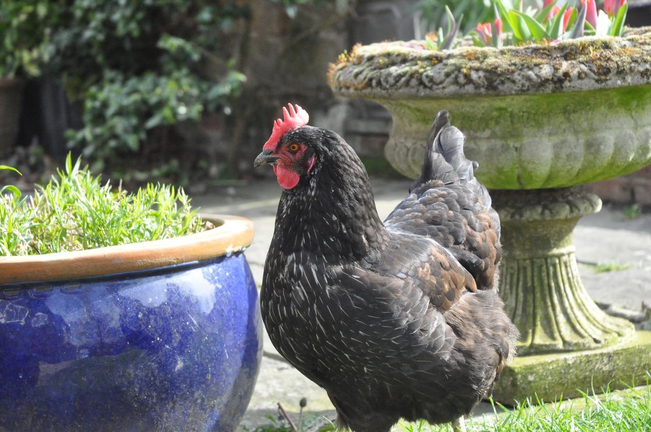 Little Tidebrook Farm Bed & Breakfast Wadhurst Bagian luar foto