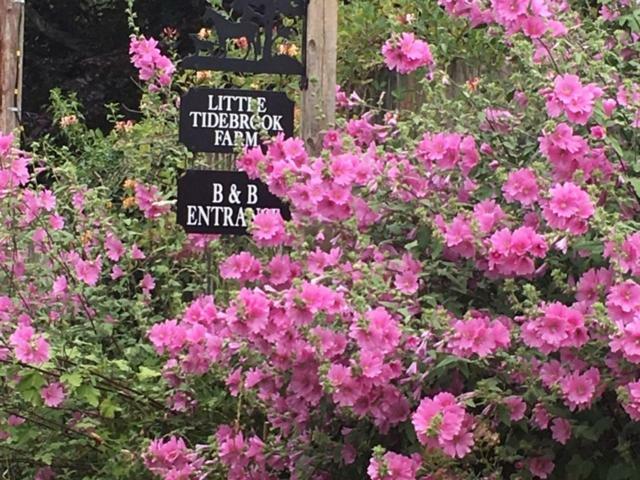 Little Tidebrook Farm Bed & Breakfast Wadhurst Bagian luar foto